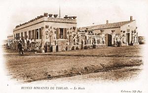 Timgad 142